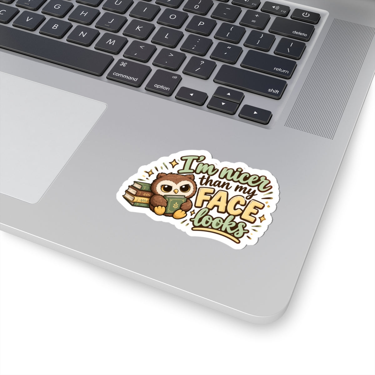 I’m nicer than my face Kiss-Cut Stickers
