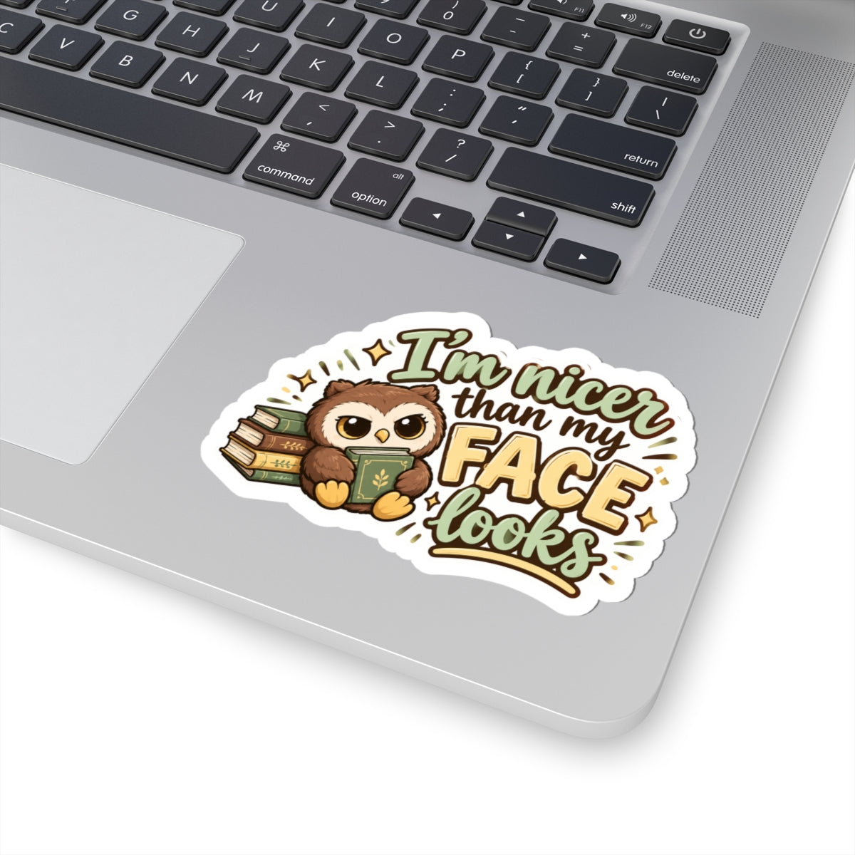 I’m nicer than my face Kiss-Cut Stickers